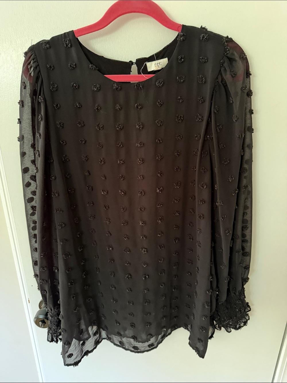 Black Textured Swiss Dot Long-Sleeve Blouse